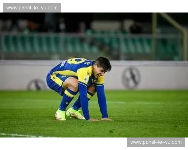 阿斯顿维拉1-0布莱顿，辛谢尔伍德乌龙球决定比赛